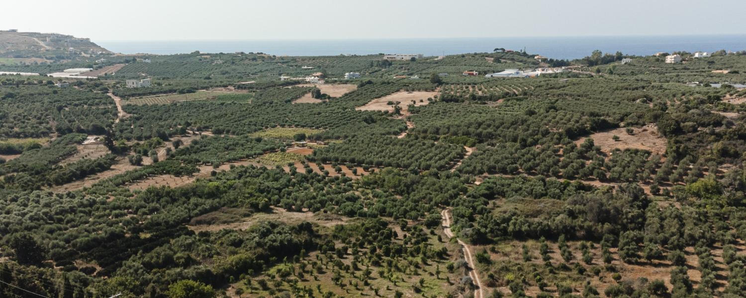 Andromache Villas