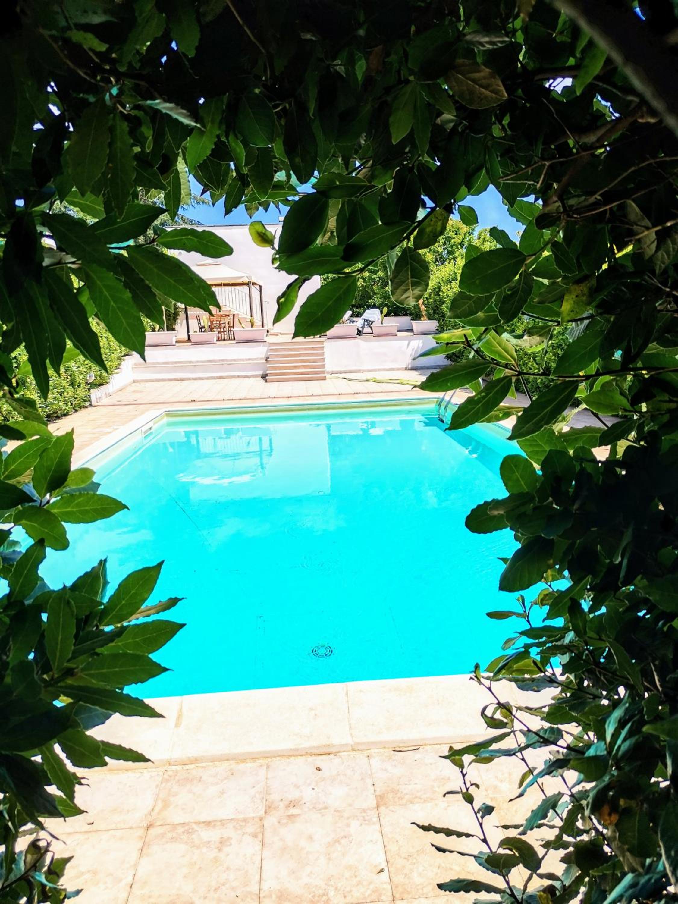 Trulli and Pool - I Cactus view 4