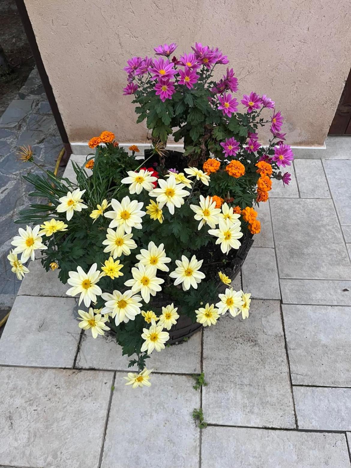 Photo 36