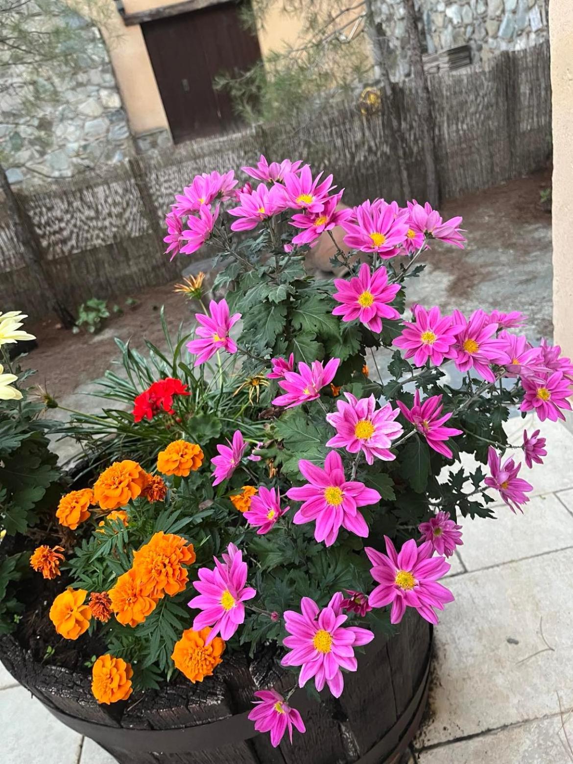 Photo 18