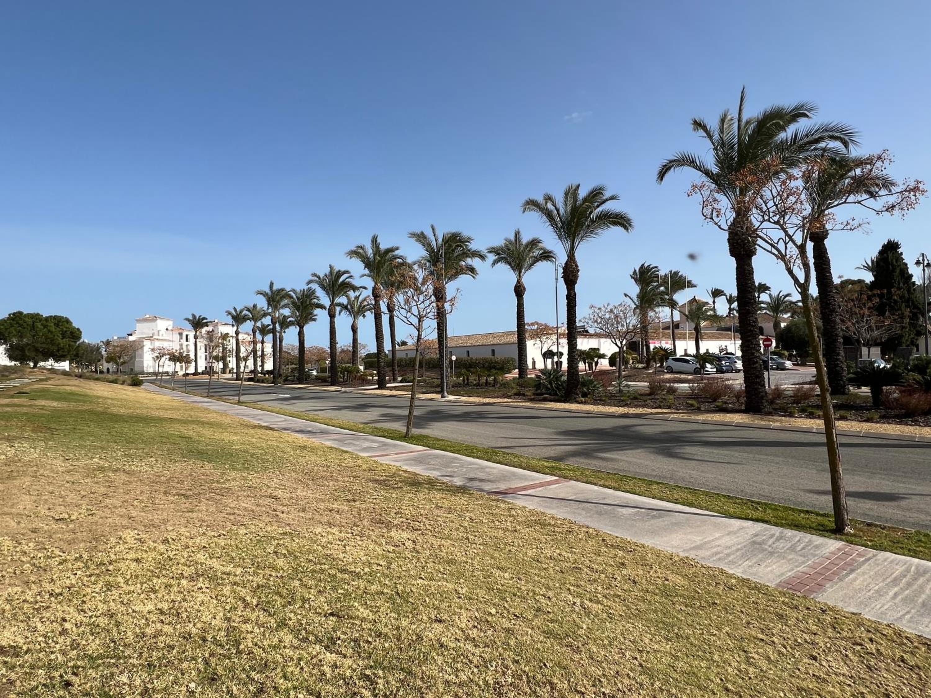 Apartment in Hacienda Riquelme Golf Resort
