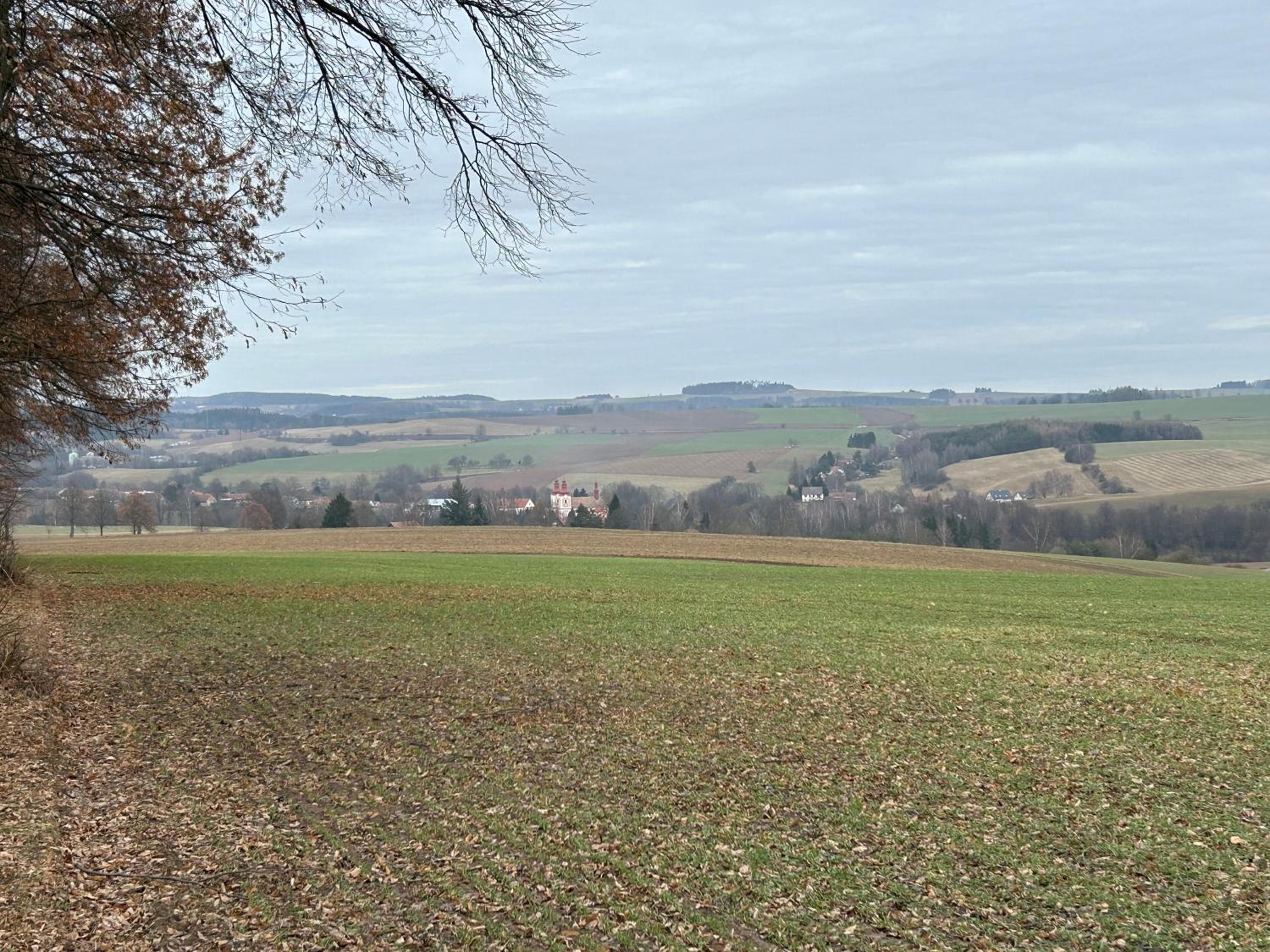 Ubytování Rozsochy
