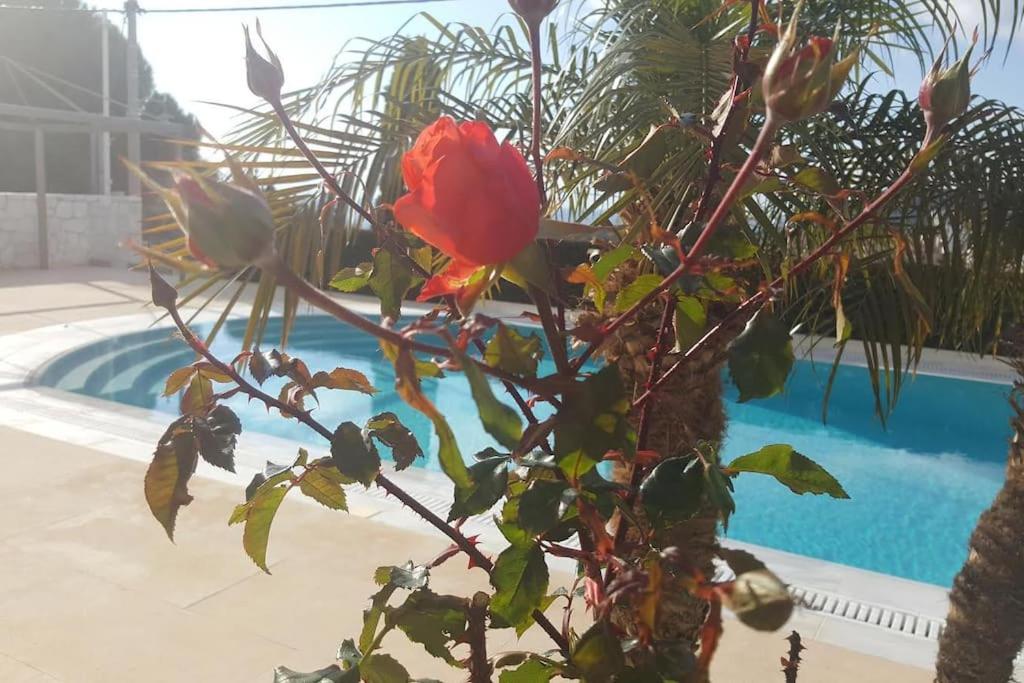 Luxurious Family friendly Villa Anavyssos view 3