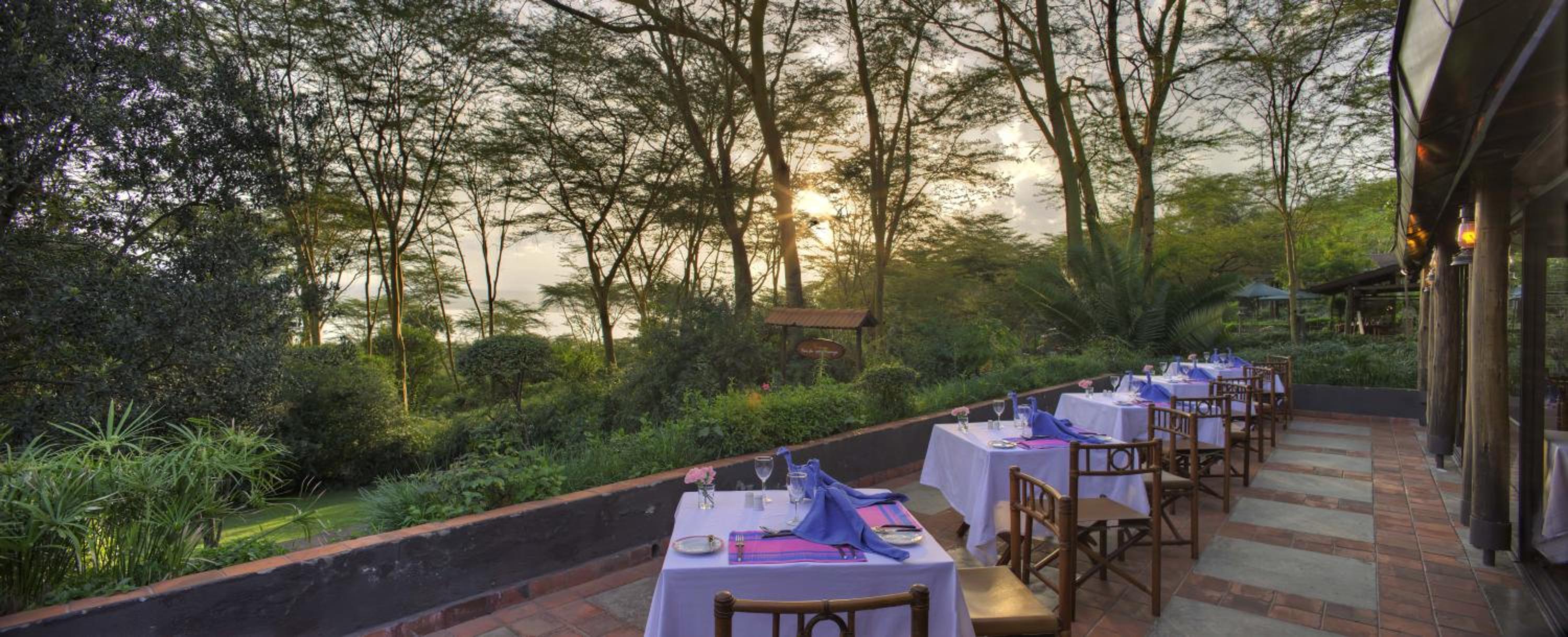 Sarova Lion Hill Game Lodge, photo 58