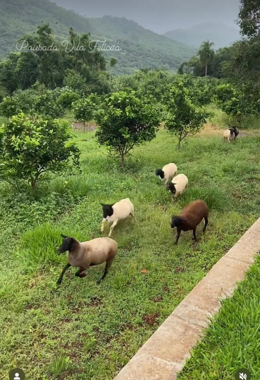 Pousada Vila Felicita