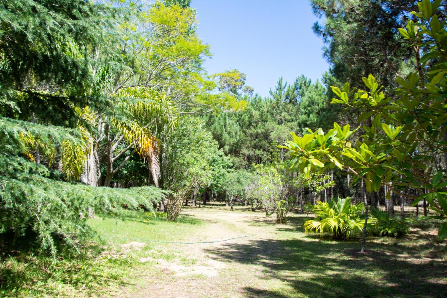 Casa de Campo en Oceanía view 4