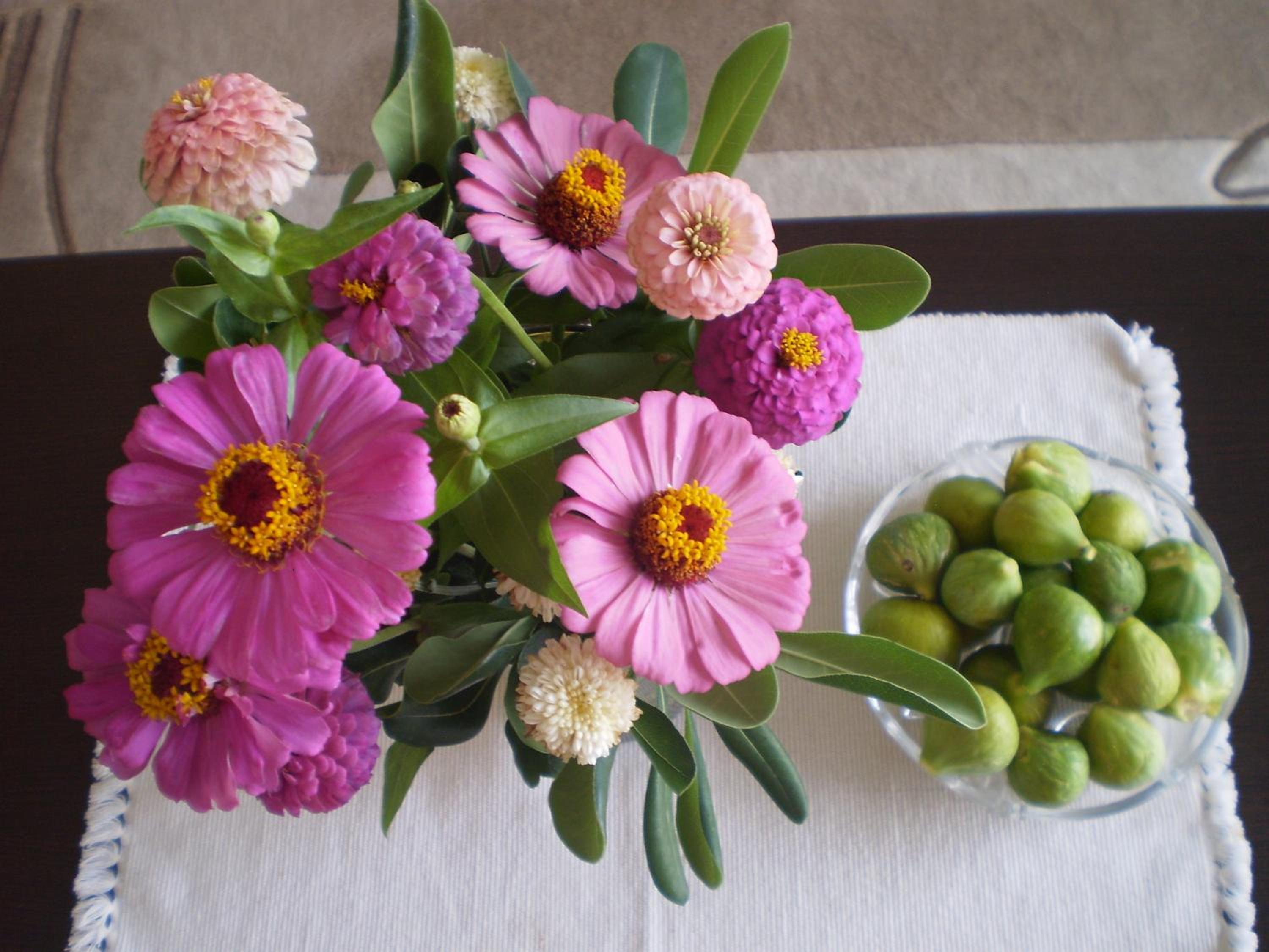 Photo 44