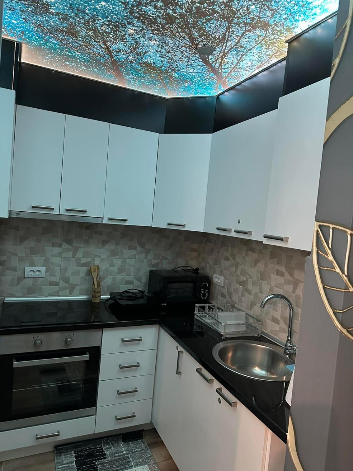 Apartman Maksim Banja Koviljača
