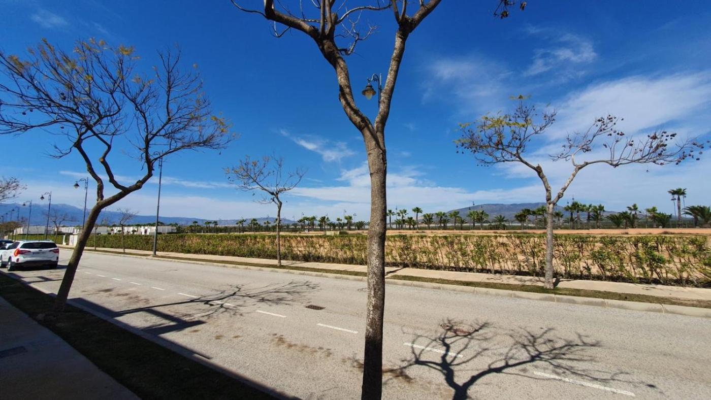 Condado de Alhama, Alhama de Murcia N549 photo 4