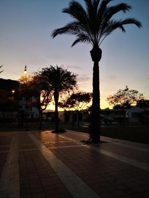 Condado de Alhama, Alhama de Murcia N549 photo 5