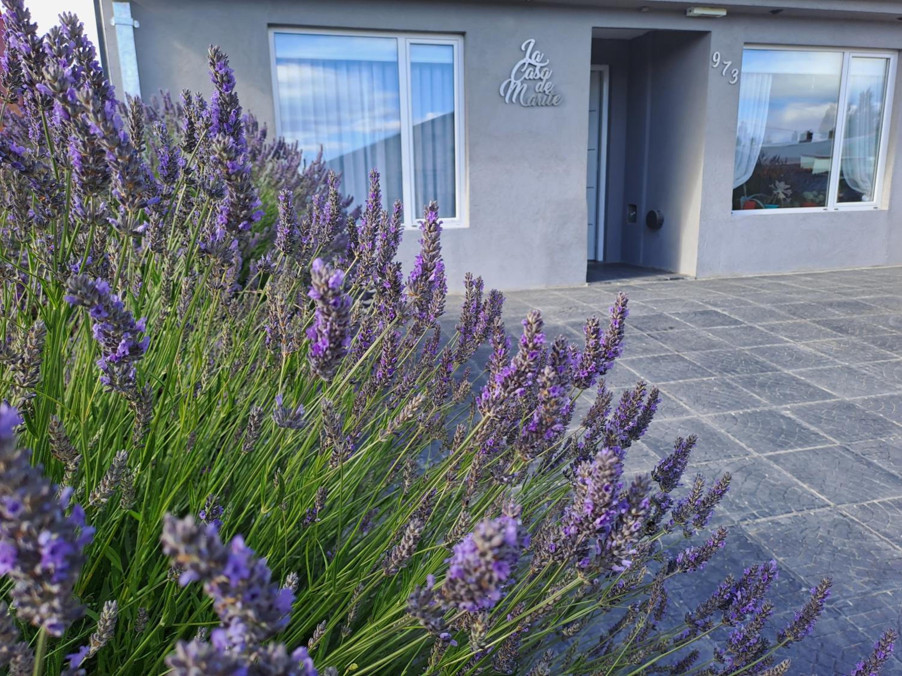 La Casa de Marite Apart, un lugar para disfrutar