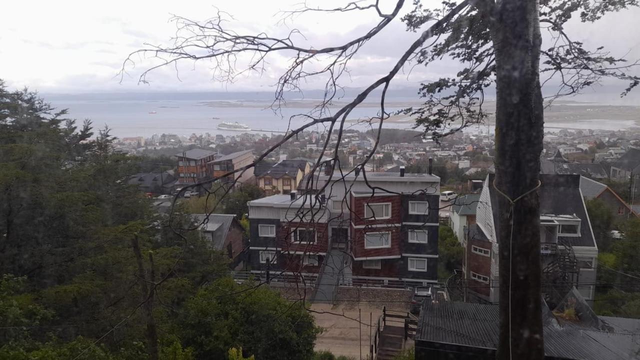 Cabaña Isla de los Pájaros