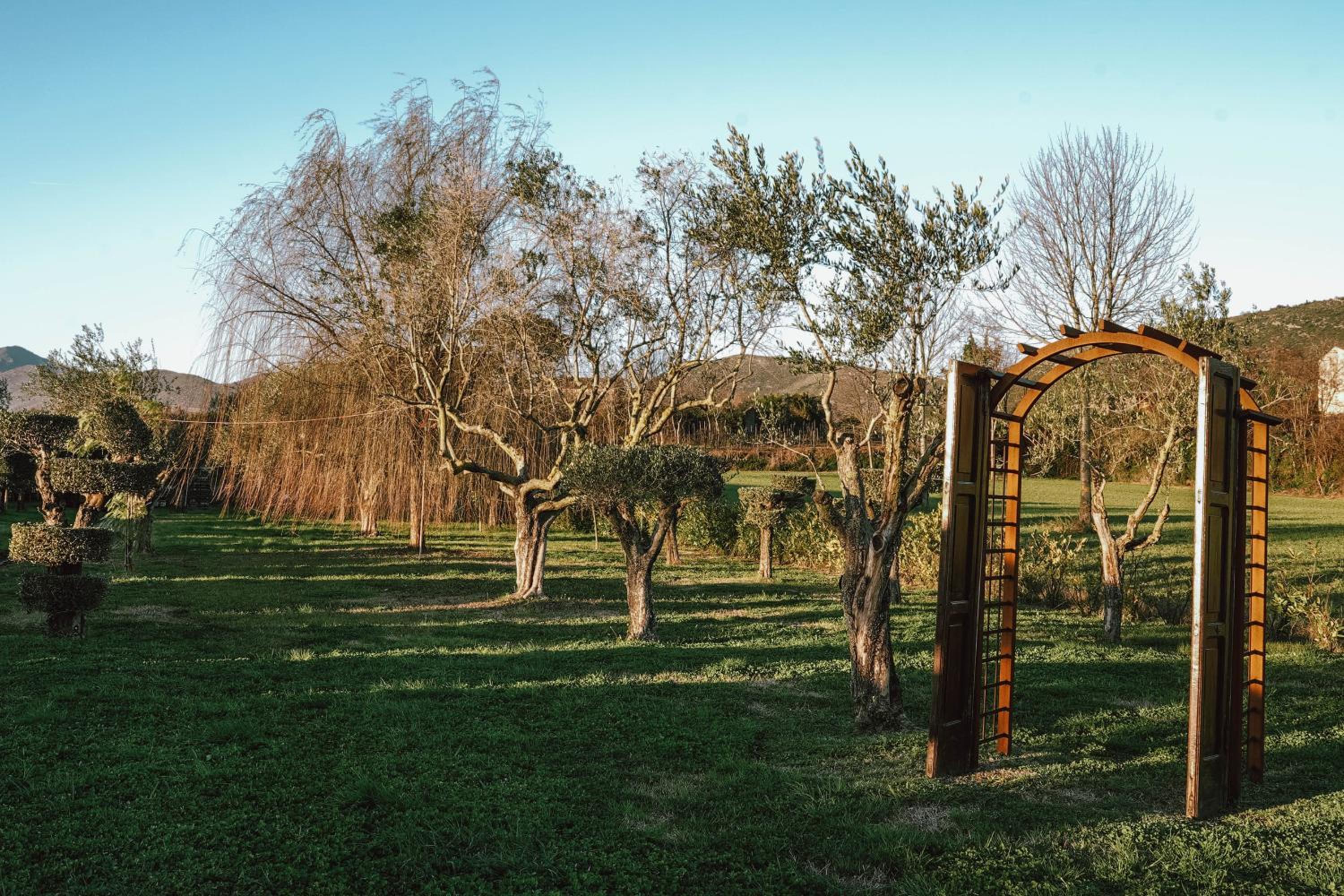 Masseria PerBacco Country House