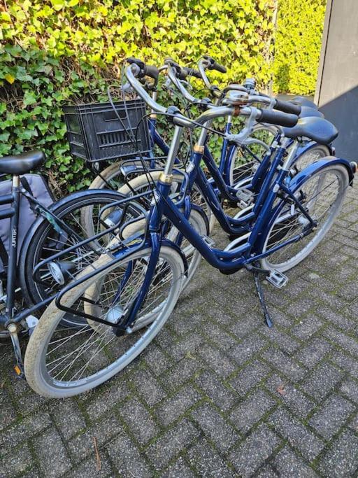 Smalland Loosdrecht Amsterdam
