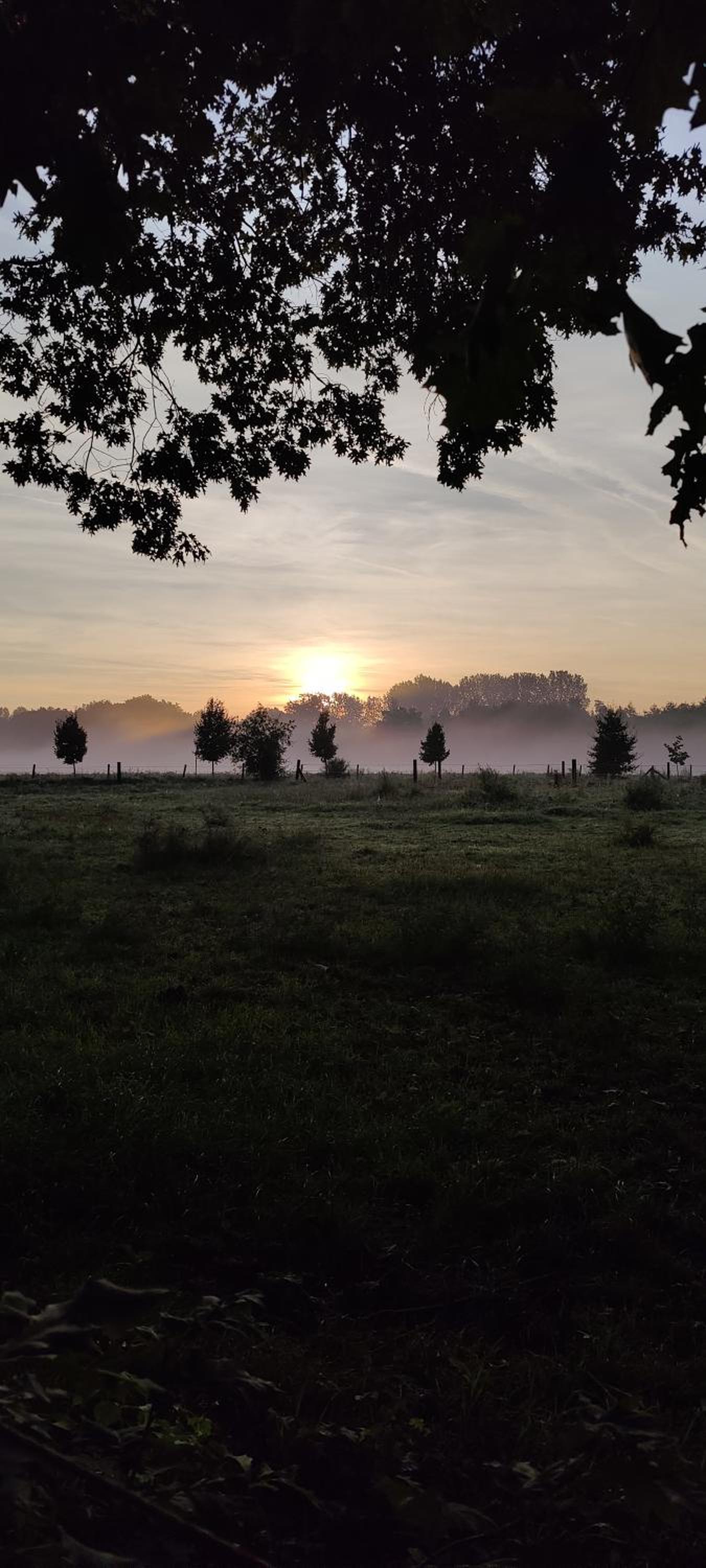 Kipdorp39