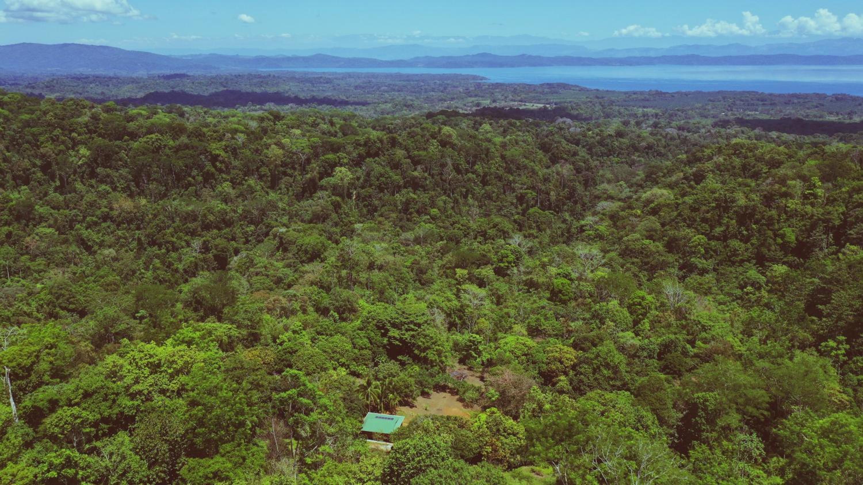Finca Terra Incognita - Wood cabins in the jungle - Sea view