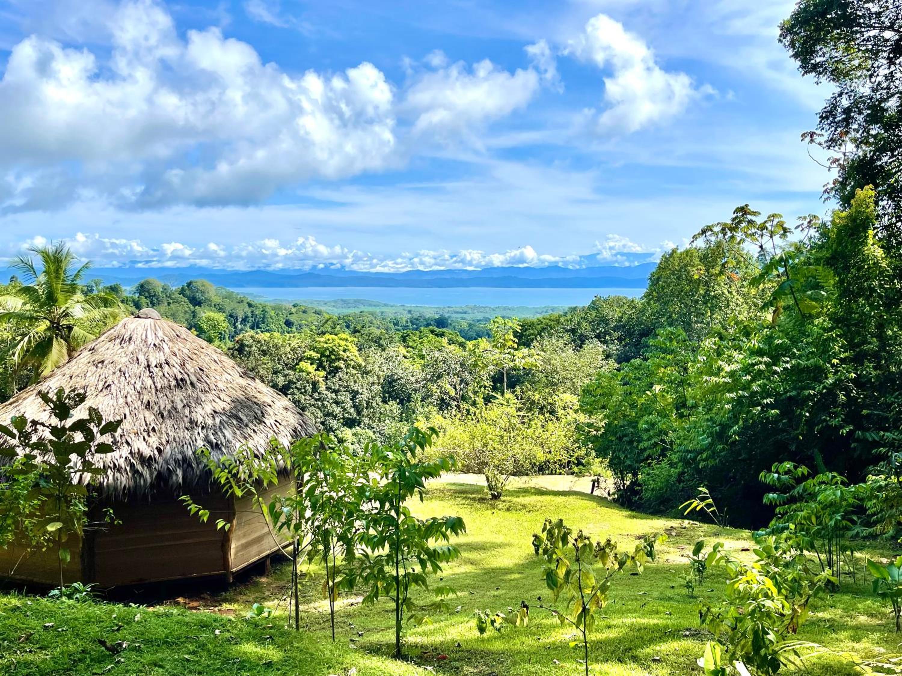 Finca Terra Incognita - Wood cabins in the jungle - Sea view
