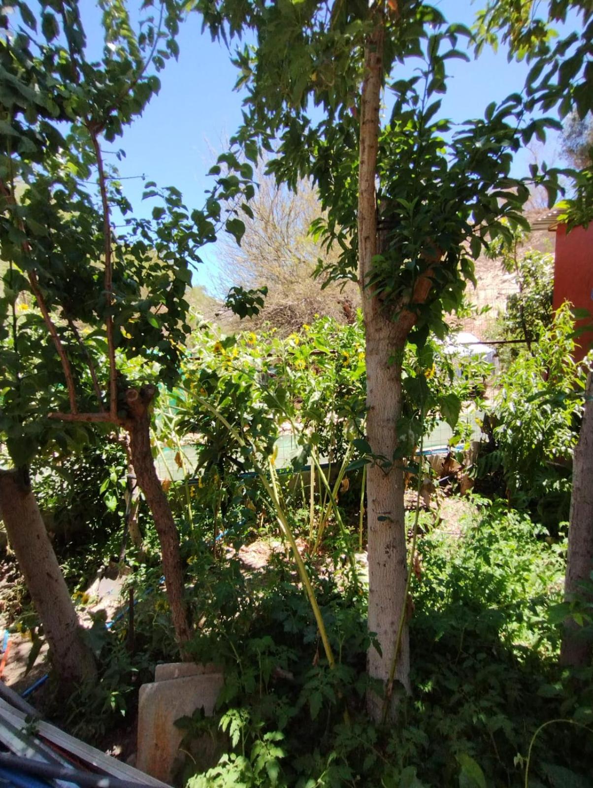 Casa en Valle del Elqui