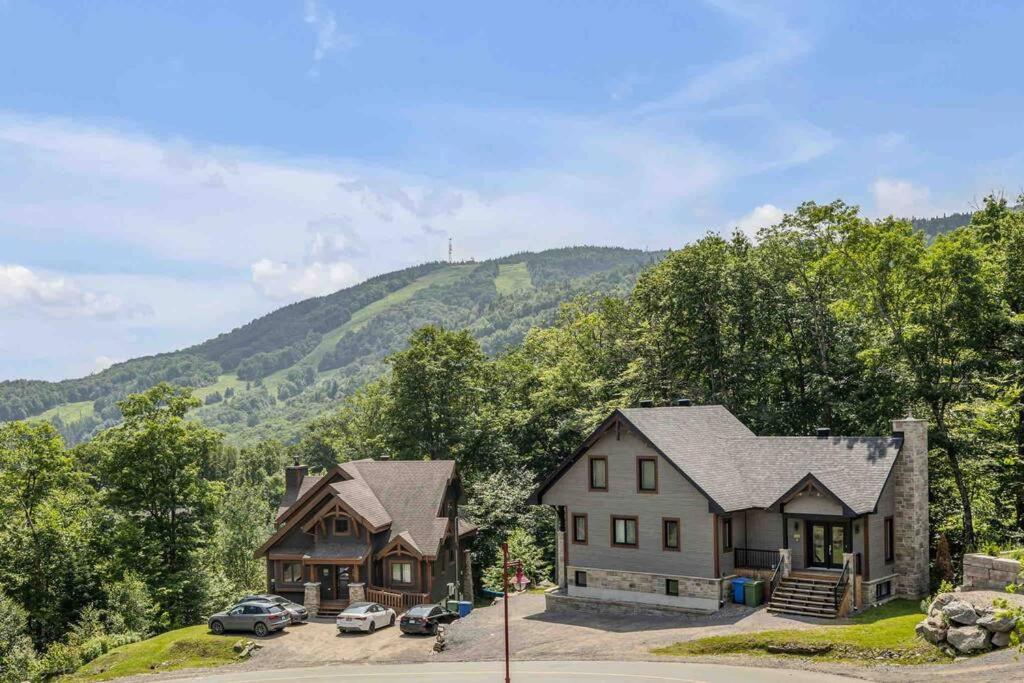 The Chalet In The Mountain - 10A