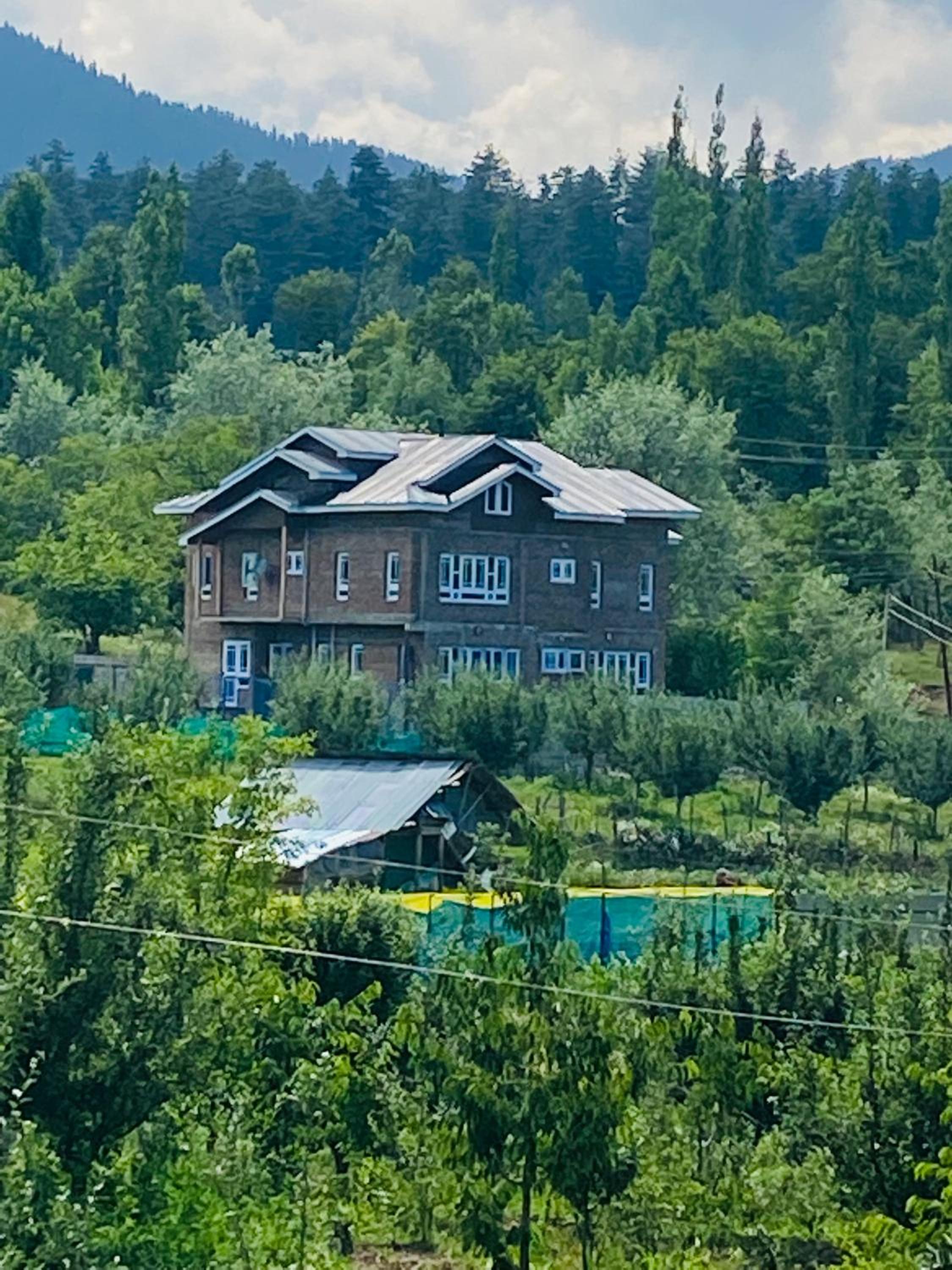 Photo 25
