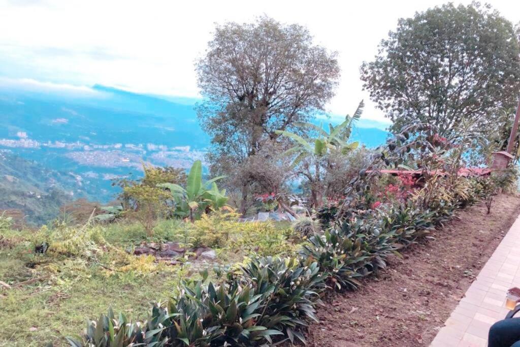 Casa Loma Comfy vacation home on the mountain with a view