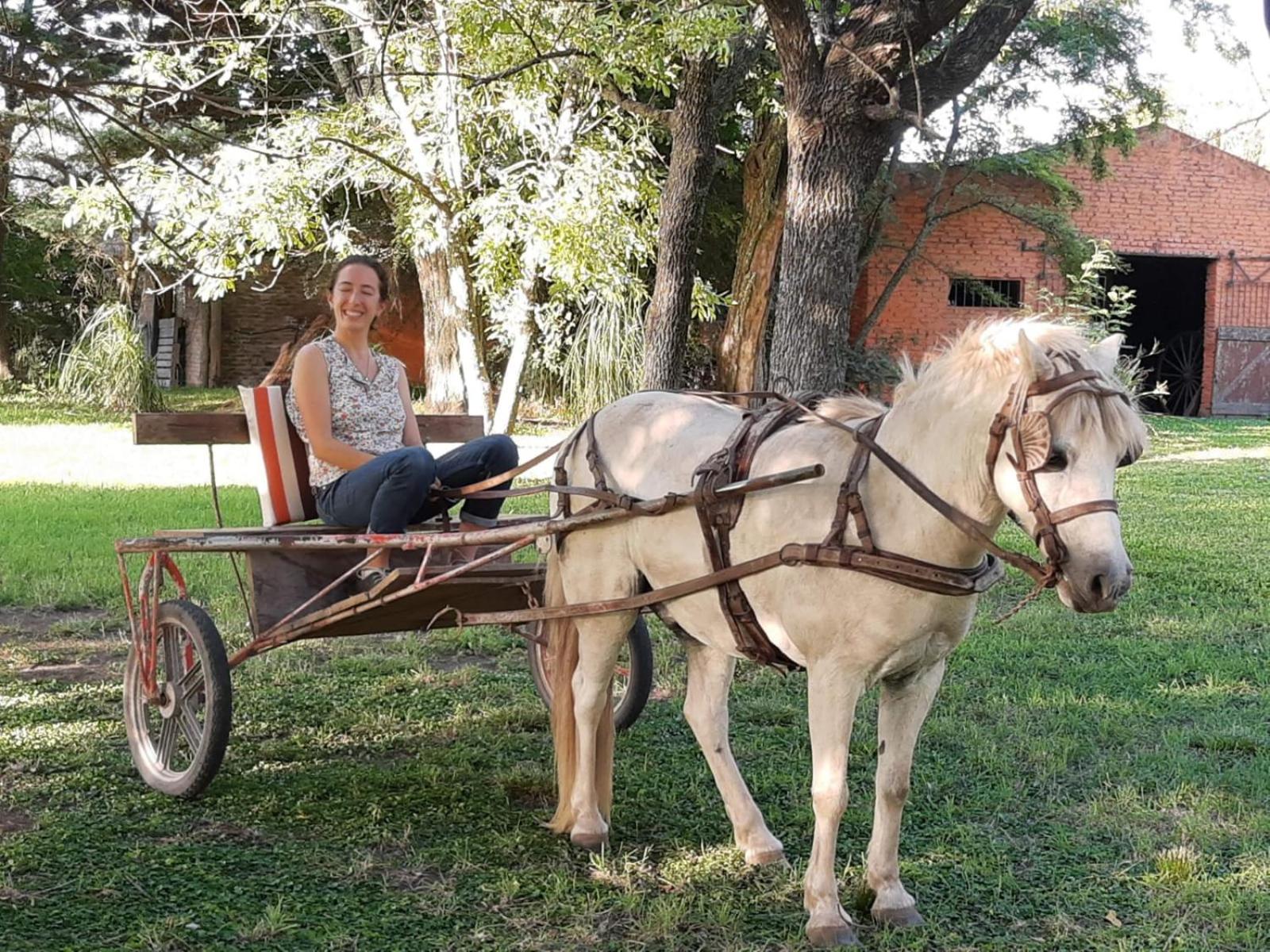 Chacra Casa Quinta Carmen de Areco - La Alpargata