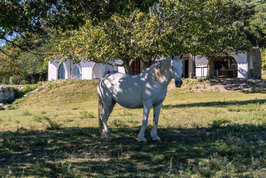 El Vergel