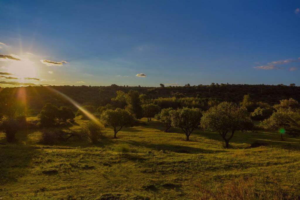 El Vergel