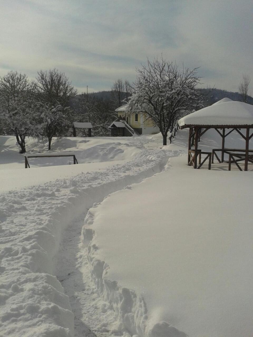 Photo 17