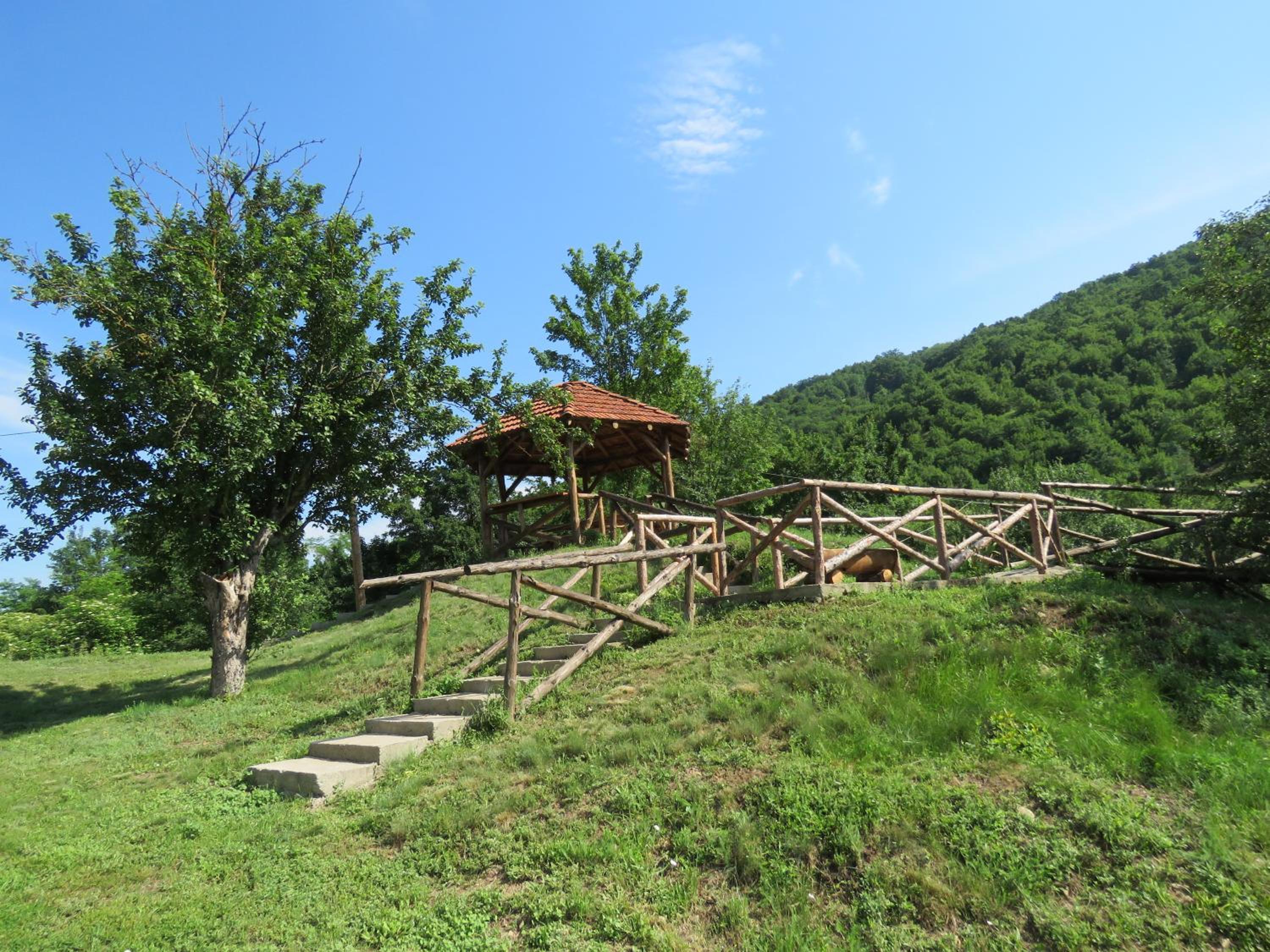 Photo 24