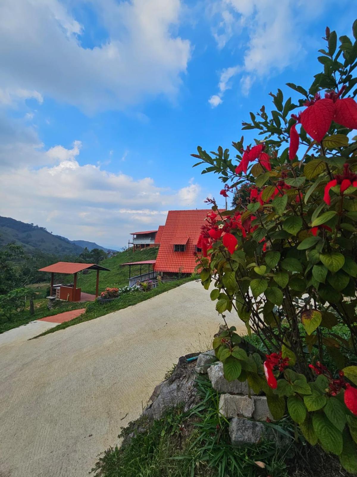 Chalet Los Sinsontes