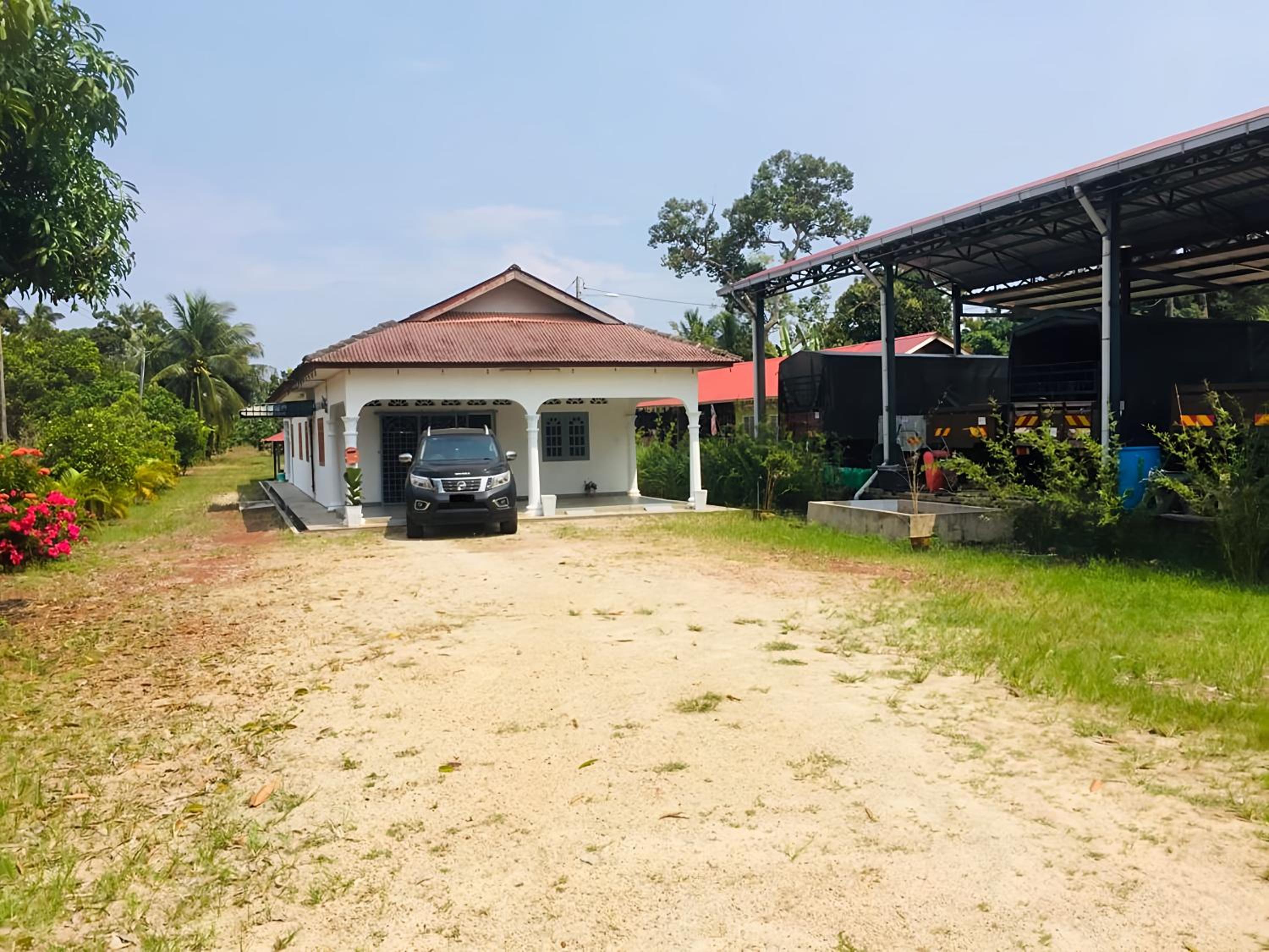 House By the Palms photo 2