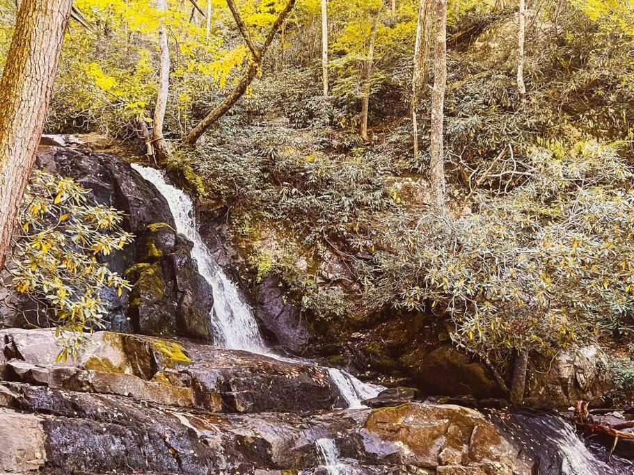 Indoor Private Pool Cabin Near Dollywood, Sleeps 12, Game Loft, Hot Tub, 5 Star Rated