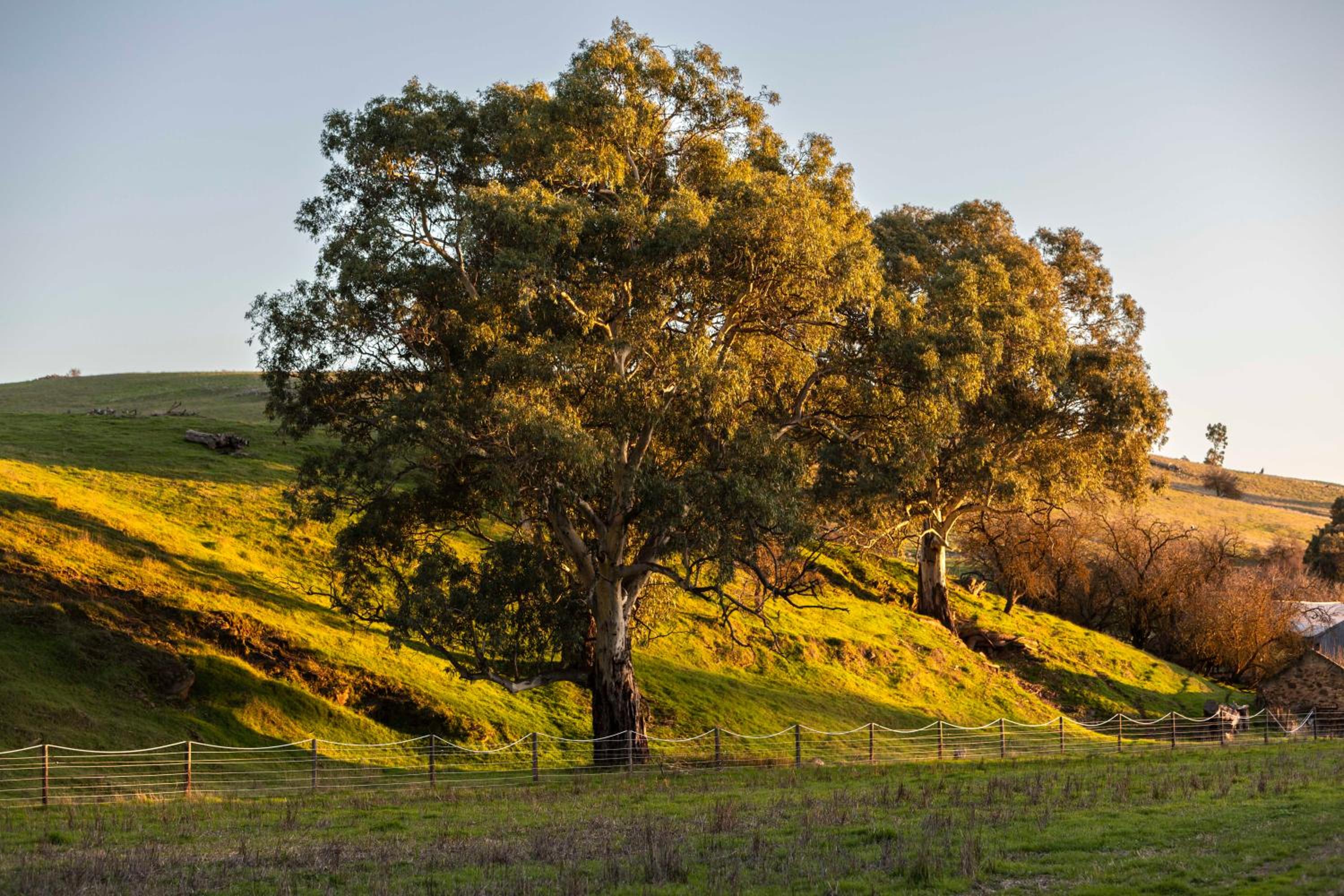 Gawler Park Estate