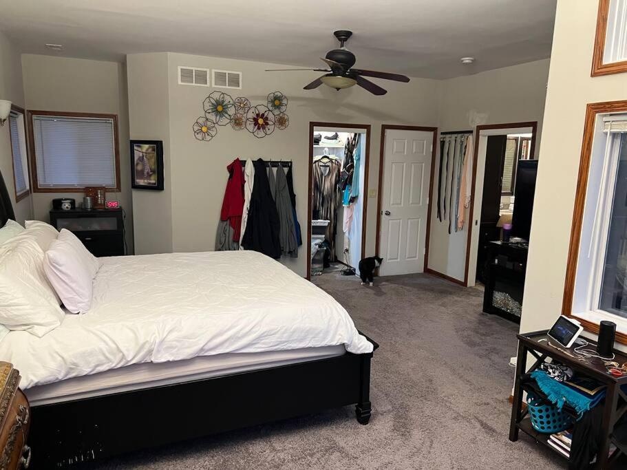 Photo 6