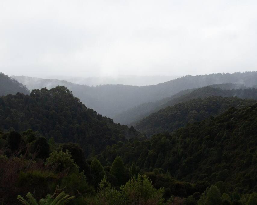 The Post Office Waratah - Luxury Wilderness Escape