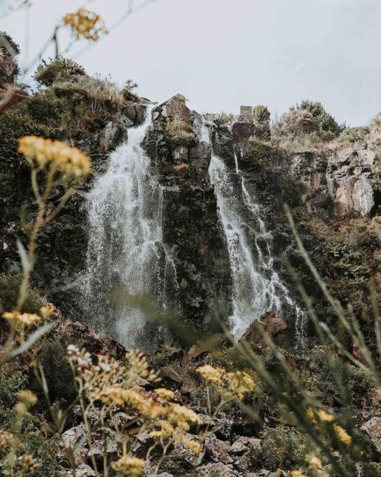 The Post Office Waratah - Luxury Wilderness Escape