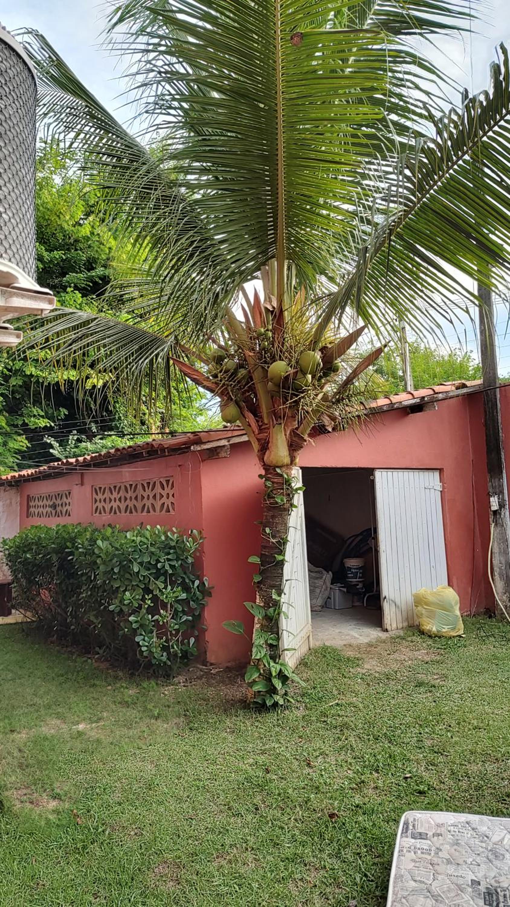 Casa de Praia Paraíso Paracuru Ceará