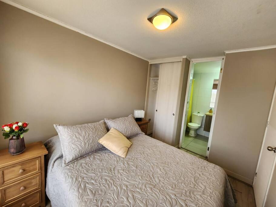 Acogedor Apartamento en Centro de Santiago.
