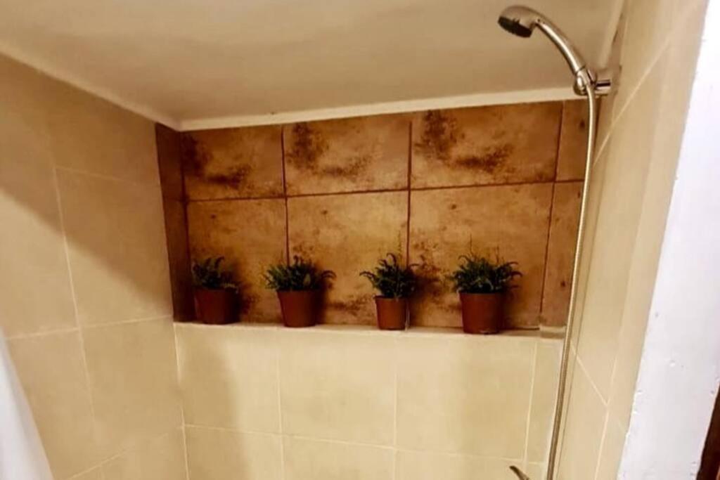 Espacio Borde Rio, Casa Pisqu