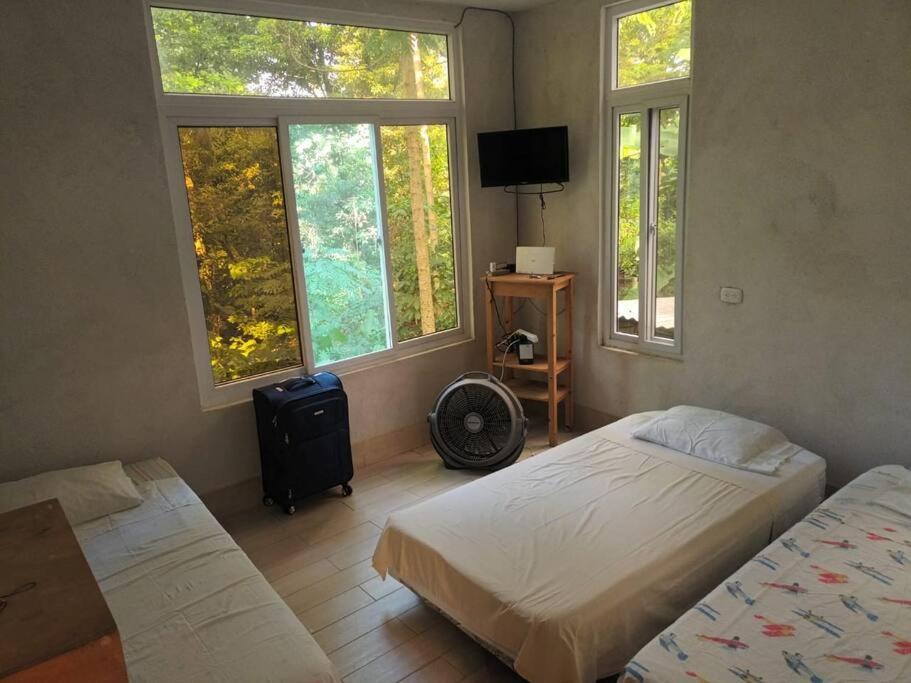 Photo 18