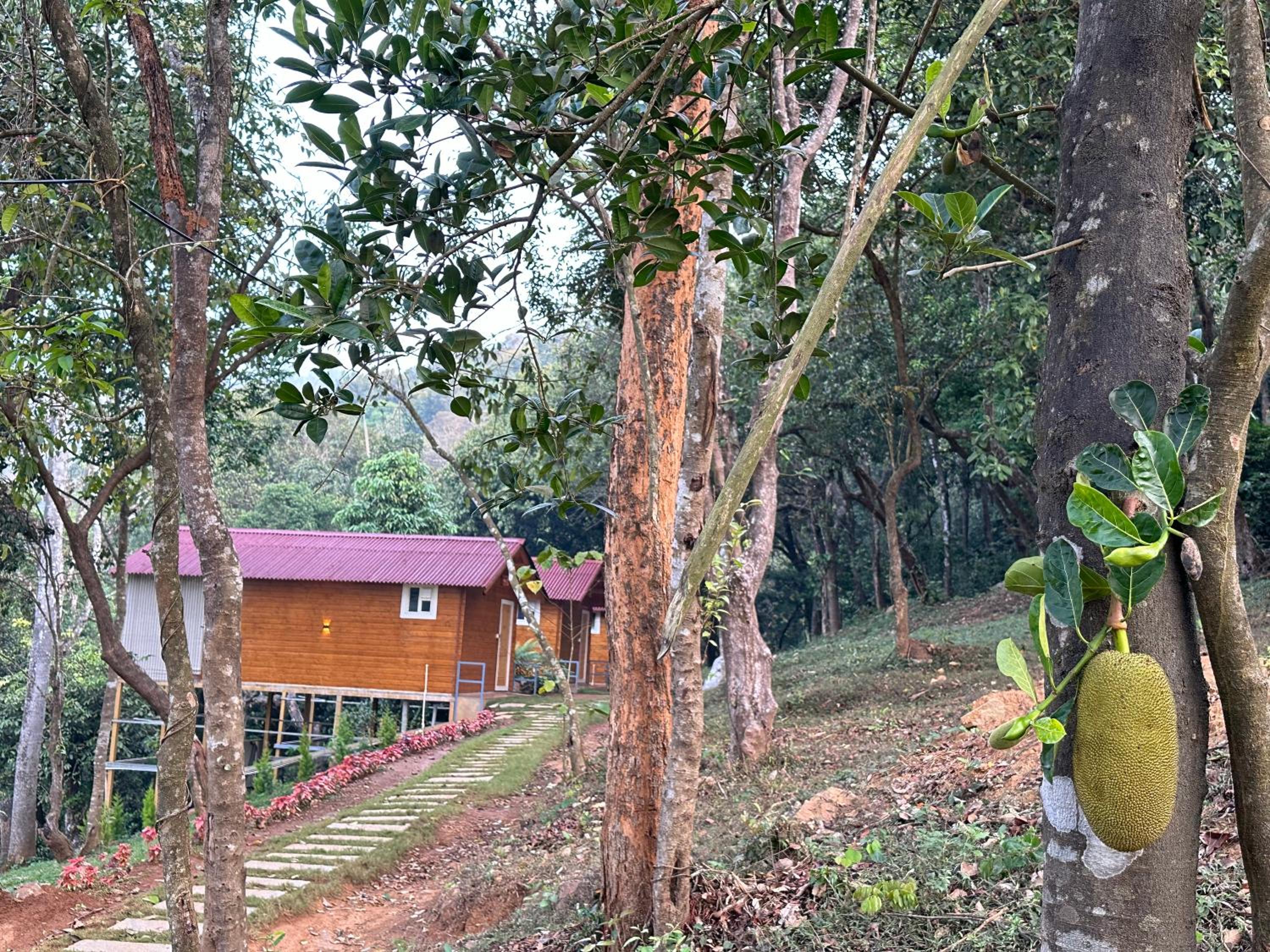 Photo 16