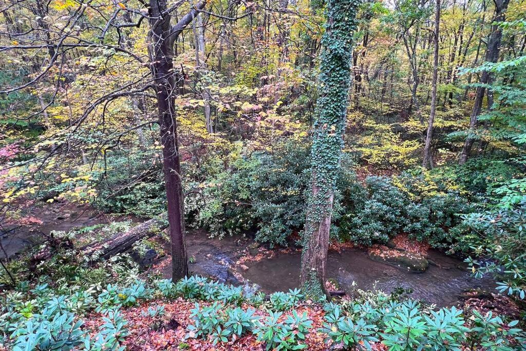 Bern's Summit Solitude: Stream-Front Serenity