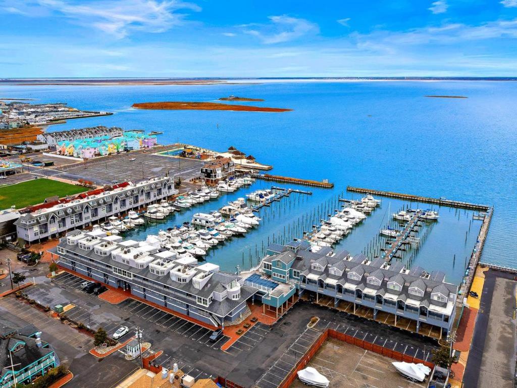 Right In The Heart Of Beach Haven view 4