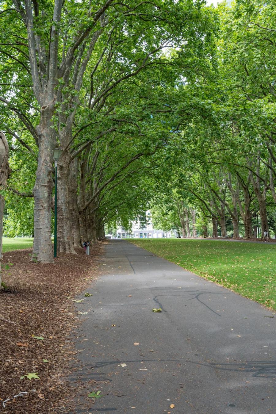 StayCentral - Oasis on Mackenzie (CBD)