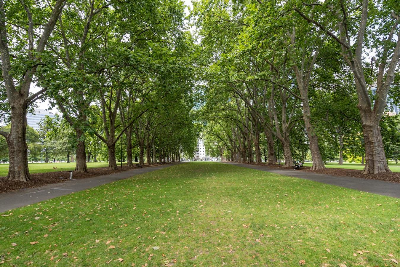 StayCentral - Oasis on Mackenzie (CBD)