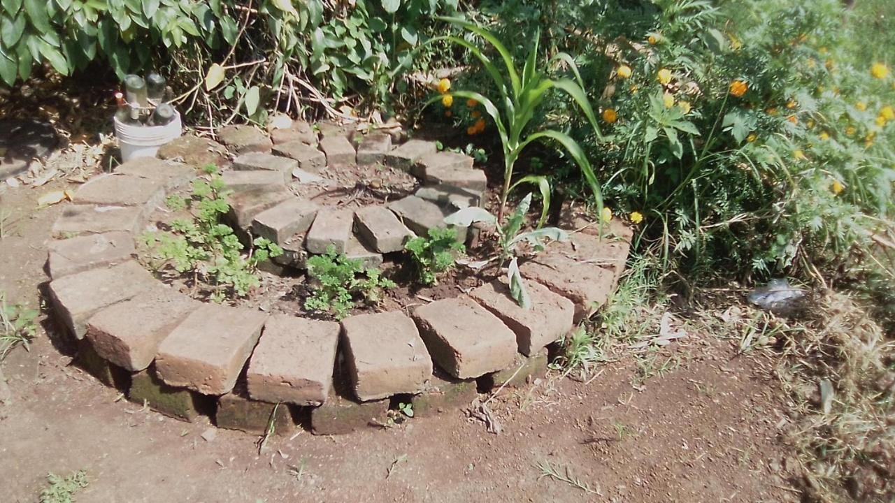 Kimashuku permaculture garden