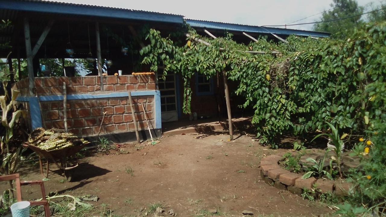 Kimashuku permaculture garden