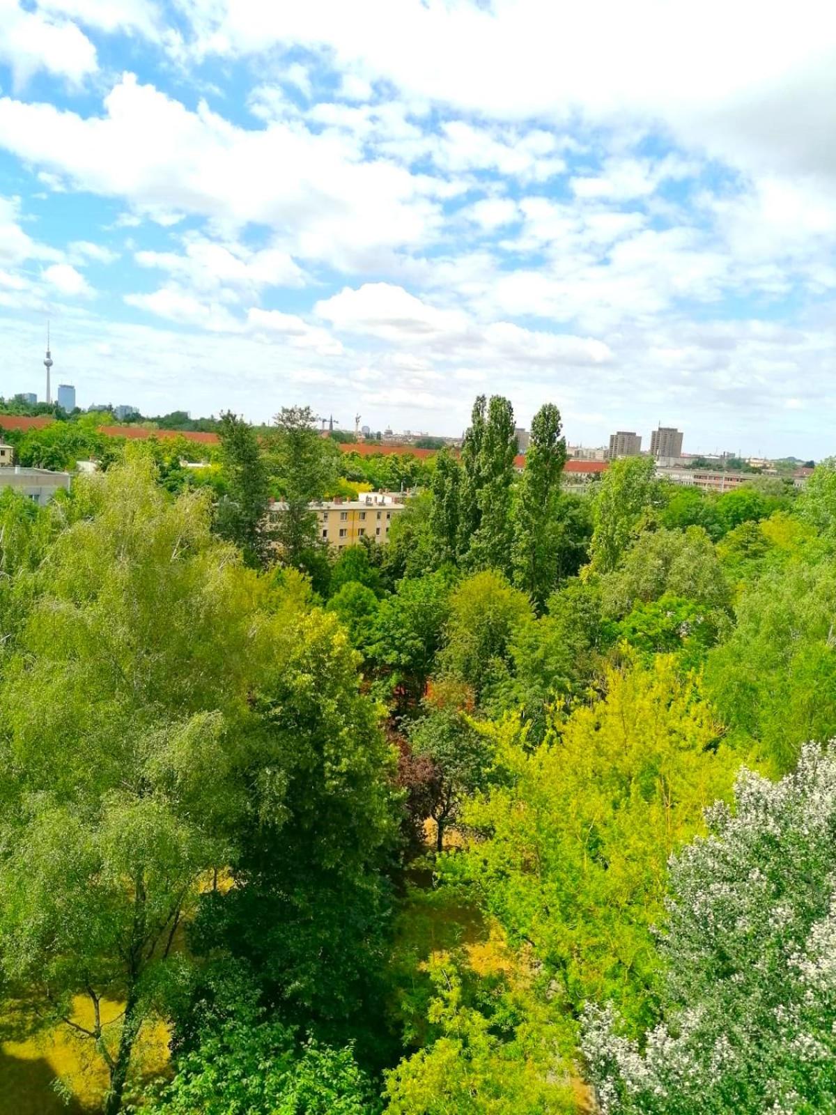 Live like a Local Big 24qm Room Cozy Trendy LGTB Friendly in Shared Apartment in Green Area 12 min to Downtown Alexanderplatz