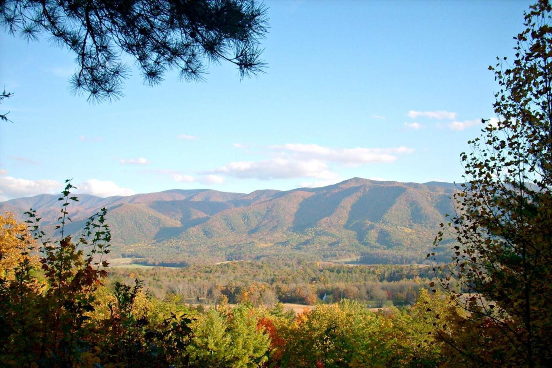 Golf Vista 112 - Golf More on Dollywood Lane view 4